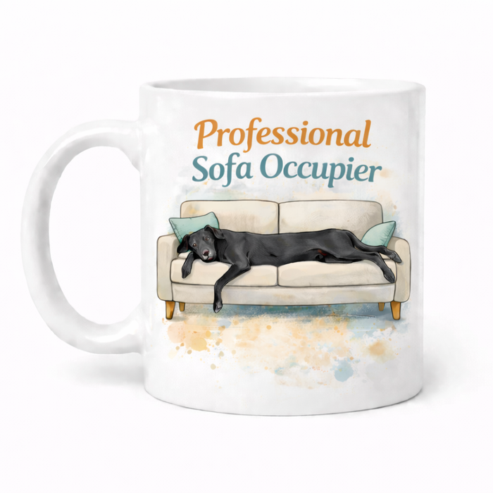 Professional Sofa Occupier