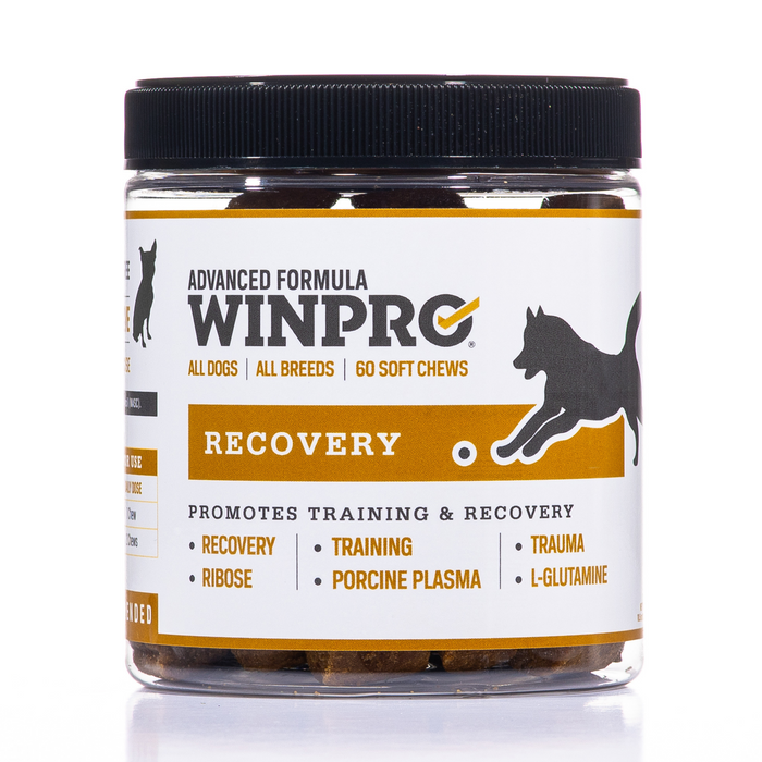Recovery 6-Pack