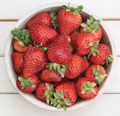Seascape, Strawberry Plants