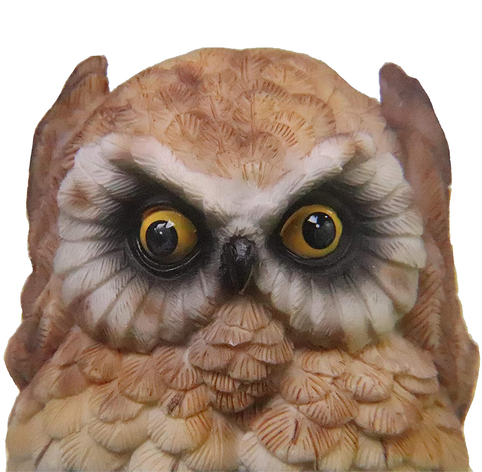 See No Evil, Hear No Evil, Speak No Evil Adorable OWLS