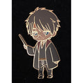 Wizarding World Universal Studios Harry Potter Pin